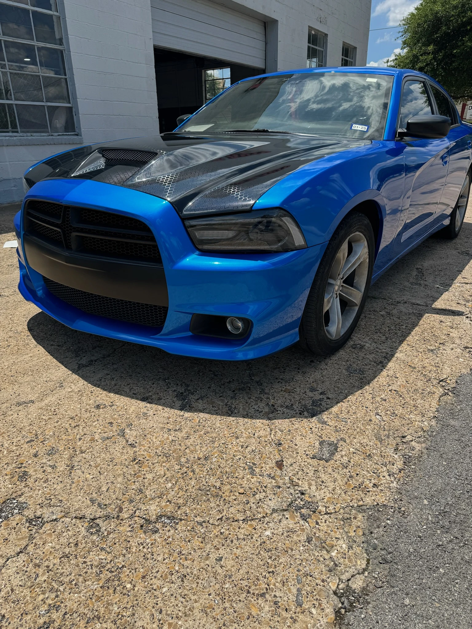 Catrin Tints in Garland, TX